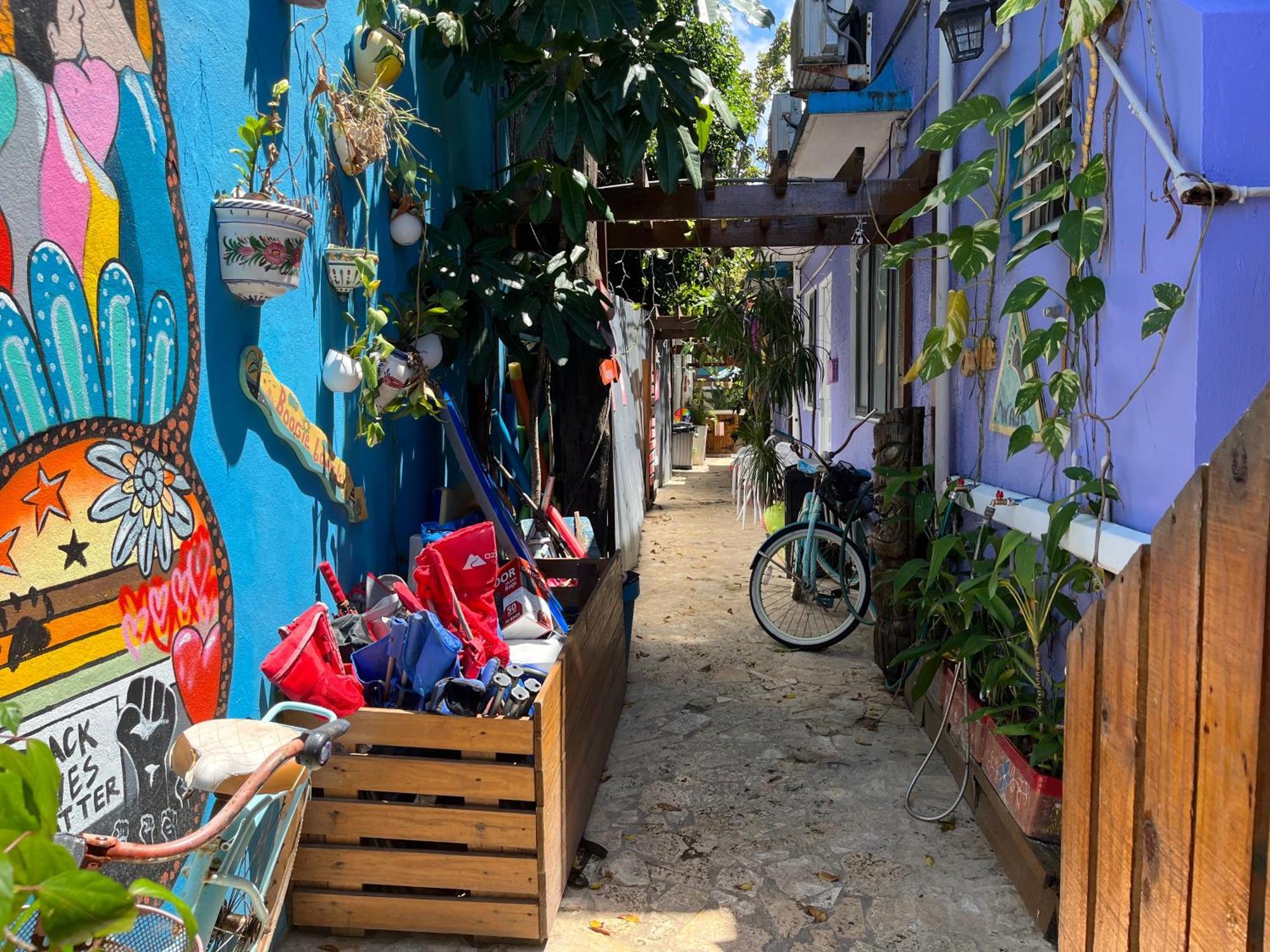 Lower Price, More Style, Discount Studio In San Juan,Pr, Beach, Free Bikes (Adults Only) Bagian luar foto